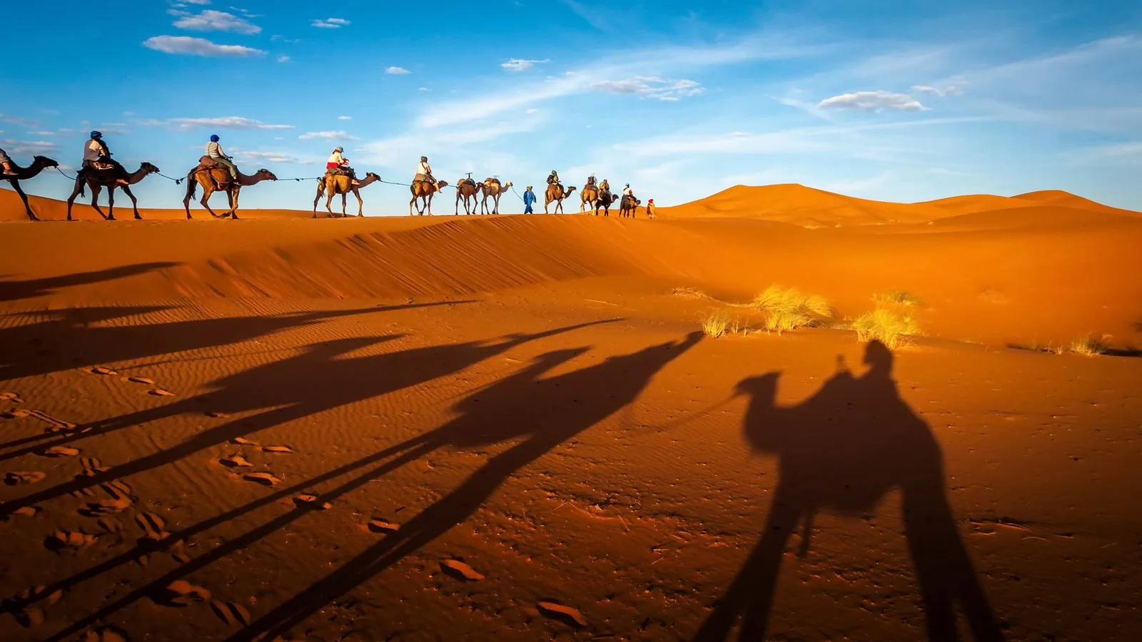 Tourist riding a camel across the golden dunes during a desert camel trekking experience in Abu Dhabi