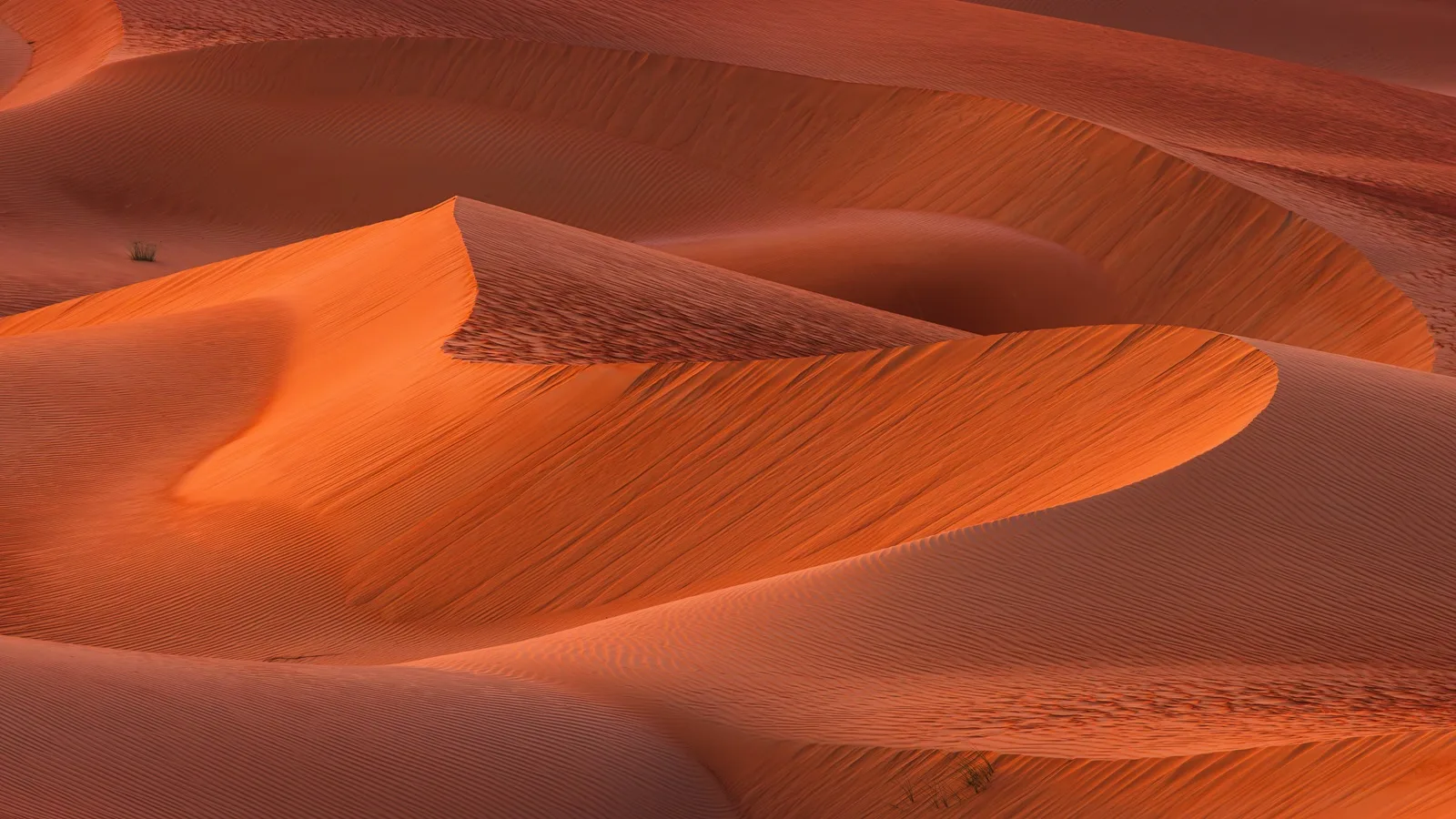 Massive golden sand dunes stretching across the vast Liwa Desert landscape