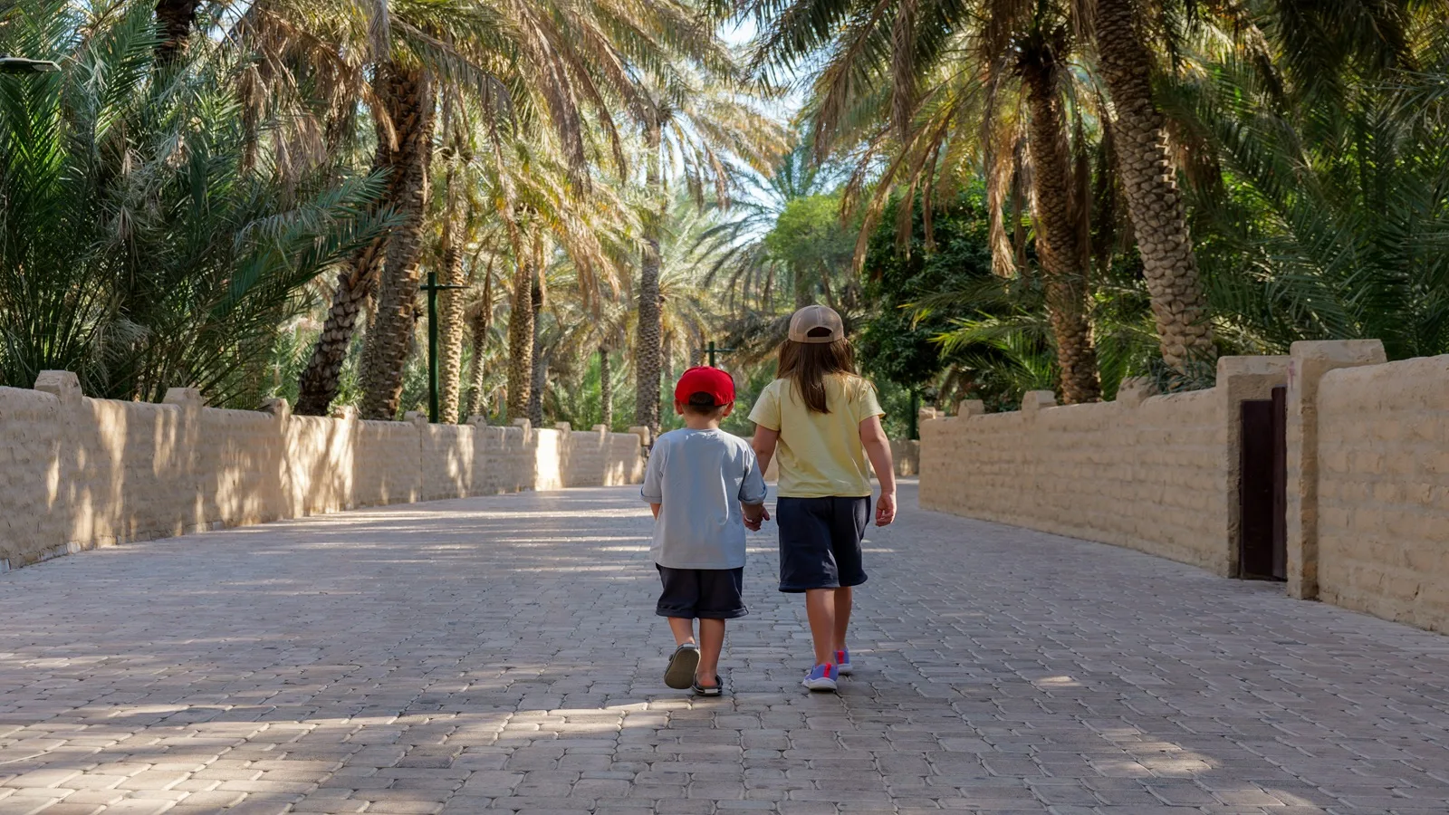 Lush green Al Ain Oasis with date palm trees and traditional falaj irrigation channels